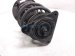 2024 Nissan Altima Front Passenger Strut Absorber + Spring E4302 6CA0A Replacement 2024 Nissan Altima Front Passenger Strut Absorber + Spring E4302 6CA0A Replacement thumbnail