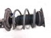 2024 Nissan Altima Front Driver Strut Absorber + Spring E4303 6CA0A Replacement 2024 Nissan Altima Front Driver Strut Absorber + Spring E4303 6CA0A Replacement thumbnail