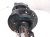 2024 Nissan Altima Front Driver Strut Absorber + Spring E4303 6CA0A Replacement 2024 Nissan Altima Front Driver Strut Absorber + Spring E4303 6CA0A Replacement thumbnail