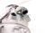 2024 Nissan Altima Air + Clutch Ac Pump / Compressor 92600 6CA0A Replacement 2024 Nissan Altima Air + Clutch Ac Pump / Compressor 92600 6CA0A Replacement thumbnail