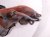 2024 Mazda Cx 50 Upper Oxygen Sensor 2.5l Turbo PX1N 18 8G1 Replacement 2024 Mazda Cx 50 Upper Oxygen Sensor 2.5l Turbo PX1N 18 8G1 Replacement thumbnail
