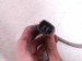 2024 Mazda Cx 50 Upper Oxygen Sensor 2.5l Turbo PX1N 18 8G1 Replacement 2024 Mazda Cx 50 Upper Oxygen Sensor 2.5l Turbo PX1N 18 8G1 Replacement thumbnail