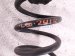 2024 Mazda Cx 50 Strut / / Shock Absorber Rear Coil Spring 2.5l Awd VA40 28 011A Replacement 2024 Mazda Cx 50 Strut / / Shock Absorber Rear Coil Spring 2.5l Awd VA40 28 011A Replacement thumbnail