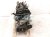 2019 Acura ILX Long Block Engine / Motor = 53k Mi 10002 R4H A01 Replacement 2019 Acura ILX Long Block Engine / Motor = 53k Mi 10002 R4H A01 Replacement thumbnail