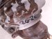 2019 Acura ILX Engine Cylinder Head Exhaust Manifold 18180 R4H A10 Replacement 2019 Acura ILX Engine Cylinder Head Exhaust Manifold 18180 R4H A10 Replacement thumbnail