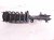 2019 Acura ILX Front Passenger Strut Absorber + Spring 51611 T3R A01 Replacement 2019 Acura ILX Front Passenger Strut Absorber + Spring 51611 T3R A01 Replacement thumbnail