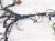 2023 Toyota Corollacs Dash Instrument Wire Harness Awd 82141 0AA20 Replacement 2023 Toyota Corollacs Dash Instrument Wire Harness Awd 82141 0AA20 Replacement thumbnail