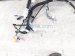 2023 Toyota Corollacs Dash Instrument Wire Harness Awd 82141 0AA20 Replacement 2023 Toyota Corollacs Dash Instrument Wire Harness Awd 82141 0AA20 Replacement thumbnail