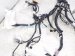 2023 Toyota Corollacs Dash Instrument Wire Harness Awd 82141 0AA20 Replacement 2023 Toyota Corollacs Dash Instrument Wire Harness Awd 82141 0AA20 Replacement thumbnail