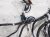 2023 Toyota Corollacs Dash Instrument Wire Harness Awd 82141 0AA20 Replacement 2023 Toyota Corollacs Dash Instrument Wire Harness Awd 82141 0AA20 Replacement thumbnail