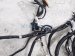 2023 Toyota Corollacs Dash Instrument Wire Harness Awd 82141 0AA20 Replacement 2023 Toyota Corollacs Dash Instrument Wire Harness Awd 82141 0AA20 Replacement thumbnail