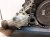 2024 Honda HR V Automatic Transmission = 48k Mi 20031 6EH 000 Replacement 2024 Honda HR V Automatic Transmission = 48k Mi 20031 6EH 000 Replacement thumbnail