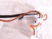 2018 BMW X5 Pump Fuel Sending Unit 16117212632 Replacement 2018 BMW X5 Pump Fuel Sending Unit 16117212632 Replacement thumbnail