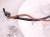 2018 BMW X5 Pump Fuel Sending Unit 16117212632 Replacement 2018 BMW X5 Pump Fuel Sending Unit 16117212632 Replacement thumbnail