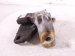2024 Mazda Cx 50 Engine/motor Passenger Engine Mount 2.5l Awd VA40 39 060 Replacement 2024 Mazda Cx 50 Engine/motor Passenger Engine Mount 2.5l Awd VA40 39 060 Replacement thumbnail