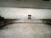 2011 BMW 750li Crossmember Front Engine Sub Frame / Cradle 31 11 6 796 692 Replacement 2011 BMW 750li Crossmember Front Engine Sub Frame / Cradle 31 11 6 796 692 Replacement thumbnail