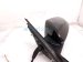 2019 Honda Civic Rear Driver Side View Mirror Grey *carbon 76258 TGG A12 Replacement 2019 Honda Civic Rear Driver Side View Mirror Grey *carbon 76258 TGG A12 Replacement thumbnail