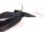 2019 Honda Civic Rear Driver Side View Mirror Grey *carbon 76258 TGG A12 Replacement 2019 Honda Civic Rear Driver Side View Mirror Grey *carbon 76258 TGG A12 Replacement thumbnail