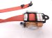 2019 Honda Civic Front Passenger Seat Belt Red 04814 TGH A10ZA Replacement 2019 Honda Civic Front Passenger Seat Belt Red 04814 TGH A10ZA Replacement thumbnail