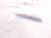 2006 Honda S2000 Emblem 75710 S2A 000 Replacement 2006 Honda S2000 Emblem 75710 S2A 000 Replacement thumbnail