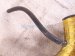 2006 Honda S2000 K&n Afmkt Air Intake Tube 2.0l Replacement 2006 Honda S2000 K&n Afmkt Air Intake Tube 2.0l Replacement thumbnail