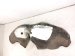 2022 Chevy Tahoe Rear Driver Inner Fender Liner 84856835 Replacement 2022 Chevy Tahoe Rear Driver Inner Fender Liner 84856835 Replacement thumbnail