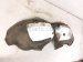 2022 Chevy Tahoe Rear Passenger Inner Fender Liner 84856836 Replacement 2022 Chevy Tahoe Rear Passenger Inner Fender Liner 84856836 Replacement thumbnail