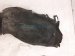 2022 Chevy Tahoe Front Driver Inner Fender Liner 84856823 Replacement 2022 Chevy Tahoe Front Driver Inner Fender Liner 84856823 Replacement thumbnail