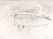 2017 Subaru WRX Driver Roof Curtain Airbag 98251VA071 Replacement 2017 Subaru WRX Driver Roof Curtain Airbag 98251VA071 Replacement thumbnail