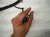 2017 Chevy Malibu Dash Instrument Wire Harness Fwd 84169448 Replacement 2017 Chevy Malibu Dash Instrument Wire Harness Fwd 84169448 Replacement thumbnail