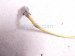 2020 Infiniti Qx60 Upper Oxygen Sensor 3.5l 22693 9HP0A Replacement 2020 Infiniti Qx60 Upper Oxygen Sensor 3.5l 22693 9HP0A Replacement thumbnail