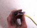 2020 Infiniti Qx60 Upper Oxygen Sensor 3.5l 22693 9HP0A Replacement 2020 Infiniti Qx60 Upper Oxygen Sensor 3.5l 22693 9HP0A Replacement thumbnail