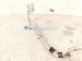 2024 Subaru Legacy Ac Hose Line A/c Refrigerant Suction Pipe Assy 73425AN00A Replacement 2024 Subaru Legacy Ac Hose Line A/c Refrigerant Suction Pipe Assy 73425AN00A Replacement thumbnail