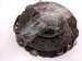 2024 Acura Integra Clutch Pressure Plate + Disc Type S 22200 65W 003 Replacement 2024 Acura Integra Clutch Pressure Plate + Disc Type S 22200 65W 003 Replacement thumbnail
