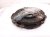 2024 Acura Integra Clutch Pressure Plate + Disc Type S 22200 65W 003 Replacement 2024 Acura Integra Clutch Pressure Plate + Disc Type S 22200 65W 003 Replacement thumbnail
