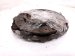 2024 Acura Integra Clutch Pressure Plate + Disc Type S 22200 65W 003 Replacement 2024 Acura Integra Clutch Pressure Plate + Disc Type S 22200 65W 003 Replacement thumbnail