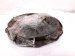 2024 Acura Integra Clutch Pressure Plate + Disc Type S 22200 65W 003 Replacement 2024 Acura Integra Clutch Pressure Plate + Disc Type S 22200 65W 003 Replacement thumbnail