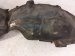 2020 Mercedes S560 Rear Passenger Inner Fender Liner 222 690 82 00 Replacement 2020 Mercedes S560 Rear Passenger Inner Fender Liner 222 690 82 00 Replacement thumbnail