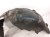 2020 Mercedes S560 Rear Driver Inner Fender Liner 222 690 81 00 Replacement 2020 Mercedes S560 Rear Driver Inner Fender Liner 222 690 81 00 Replacement thumbnail