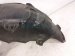 2020 Mercedes S560 Rear Driver Inner Fender Liner 222 690 81 00 Replacement 2020 Mercedes S560 Rear Driver Inner Fender Liner 222 690 81 00 Replacement thumbnail