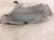 2021 Nissan Titan Rear Passenger Inner Fender Liner 93830 EZ00A Replacement 2021 Nissan Titan Rear Passenger Inner Fender Liner 93830 EZ00A Replacement thumbnail