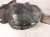 2025 Nissan Kicks Front Driver Inner Fender Liner 63841 7LG0A Replacement 2025 Nissan Kicks Front Driver Inner Fender Liner 63841 7LG0A Replacement thumbnail