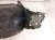 2025 Nissan Kicks Front Passenger Inner Fender Liner 63840 7LG0A Replacement 2025 Nissan Kicks Front Passenger Inner Fender Liner 63840 7LG0A Replacement thumbnail