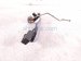 2018 Honda FIT Outside/exterior Rear Driver Exterior Door Handle Silver 72680 T5R A12ZY Replacement 2018 Honda FIT Outside/exterior Rear Driver Exterior Door Handle Silver 72680 T5R A12ZY Replacement thumbnail