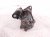 2006 Honda S2000 Starter Motor 31200 PCX A02 Replacement 2006 Honda S2000 Starter Motor 31200 PCX A02 Replacement thumbnail