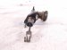 2006 Honda S2000 Clutch Master Cylinder 46920 S2A 003 Replacement 2006 Honda S2000 Clutch Master Cylinder 46920 S2A 003 Replacement thumbnail