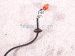 2006 Honda S2000 Rear Passenger Abs Wheel Speed Sensor 57470 S2A 013 Replacement 2006 Honda S2000 Rear Passenger Abs Wheel Speed Sensor 57470 S2A 013 Replacement thumbnail