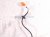 2006 Honda S2000 Rear Driver Abs Wheel Speed Sensor 57475 S2A 013 Replacement 2006 Honda S2000 Rear Driver Abs Wheel Speed Sensor 57475 S2A 013 Replacement thumbnail