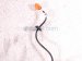 2006 Honda S2000 Rear Driver Abs Wheel Speed Sensor 57475 S2A 013 Replacement 2006 Honda S2000 Rear Driver Abs Wheel Speed Sensor 57475 S2A 013 Replacement thumbnail