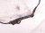 2006 Honda S2000 Front Driver Abs Wheel Speed Sensor 57455 S2A 003 Replacement 2006 Honda S2000 Front Driver Abs Wheel Speed Sensor 57455 S2A 003 Replacement thumbnail